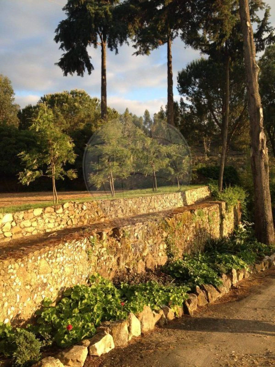 Moradia T2 para Venda em Chamusca e Pinheiro Grande Foto 34