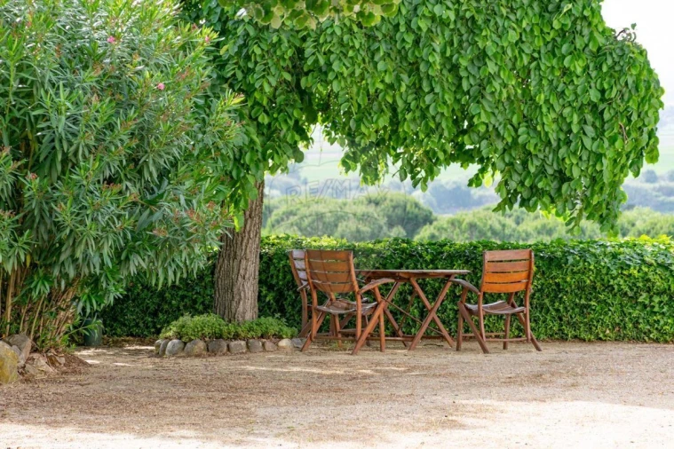 Moradia T2 para Venda em Chamusca e Pinheiro Grande Foto 18