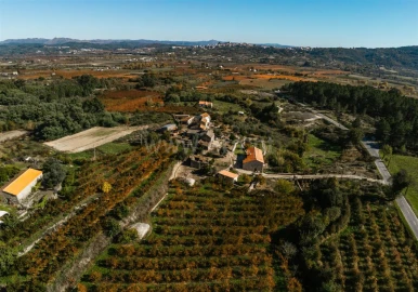 Quinta T0 para Venda em Vale Formoso e Aldeia do Souto