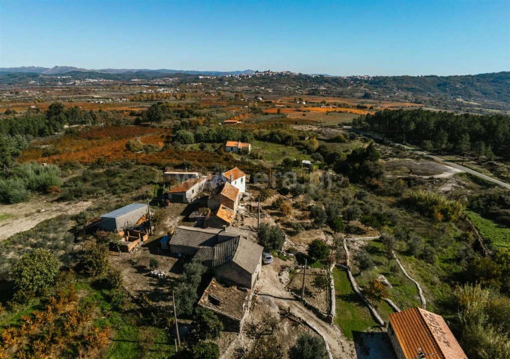 Quinta T0 para Venda em Vale Formoso e Aldeia do Souto Foto 5