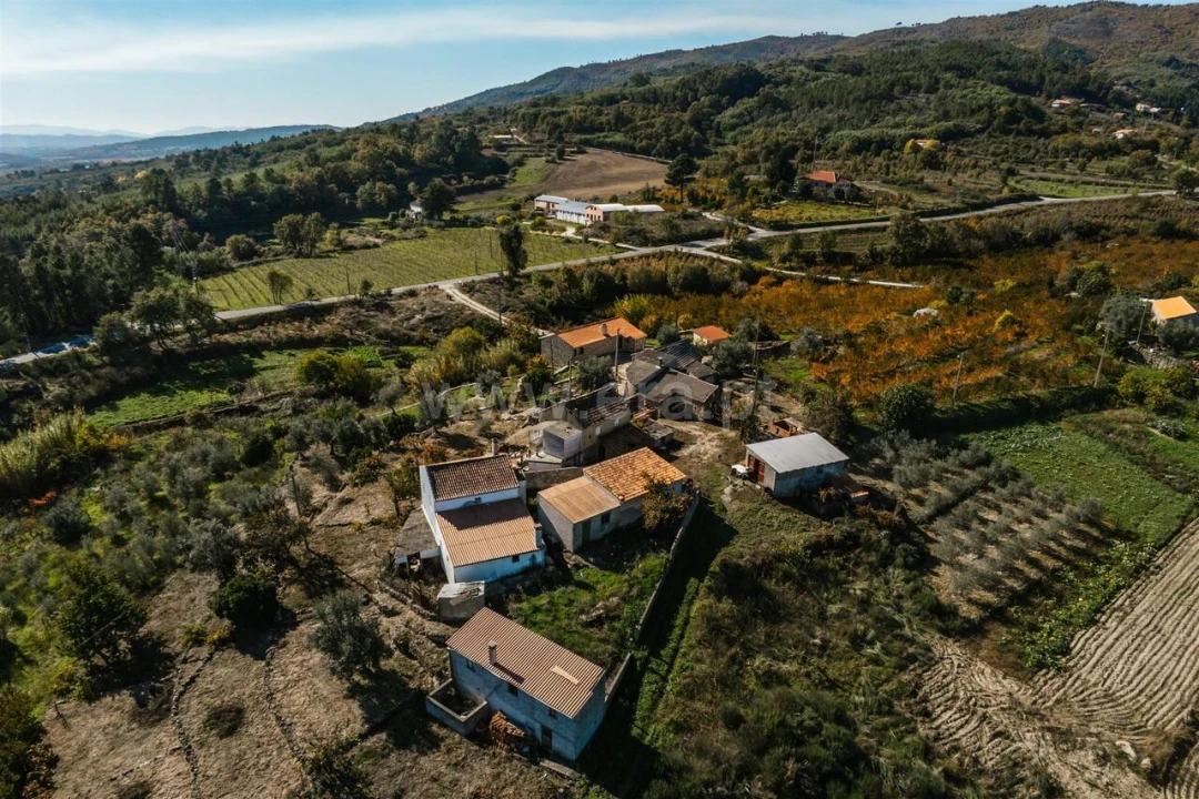 Quinta T0 para Venda em Vale Formoso e Aldeia do Souto Foto 8