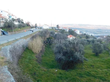 Terreno para Venda em Cantar-Galo e Vila do Carvalho