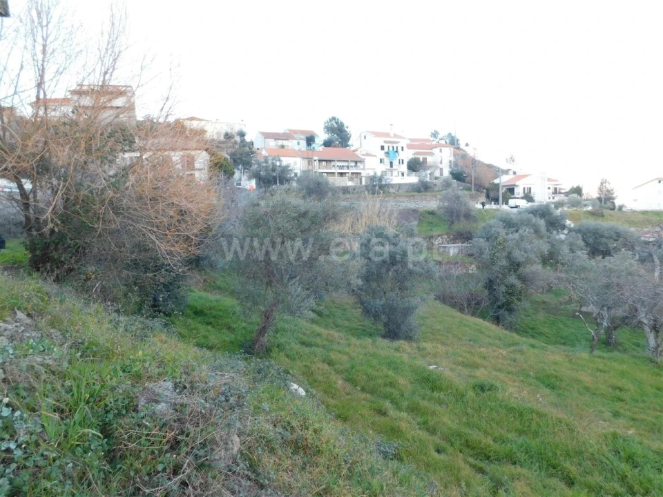 Terreno para Venda em Cantar-Galo e Vila do Carvalho Foto 10