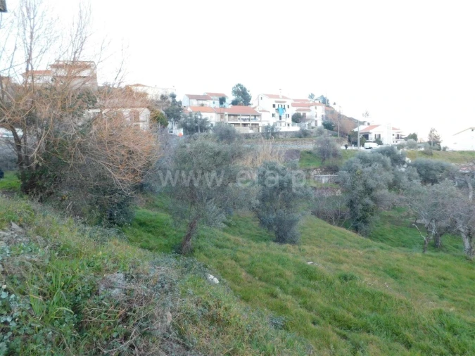 Terreno para Venda em Cantar-Galo e Vila do Carvalho Foto 10