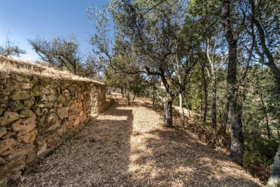 Terreno para Venda em Dominguizo