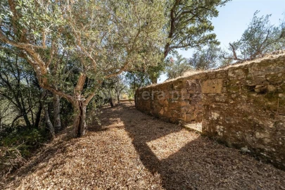 Terreno para Venda em Dominguizo