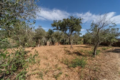Terreno para Venda em Dominguizo