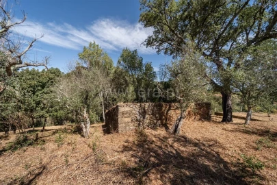 Terreno para Venda em Dominguizo