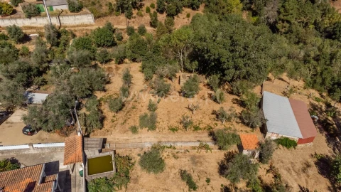 Terreno para Venda em Dominguizo