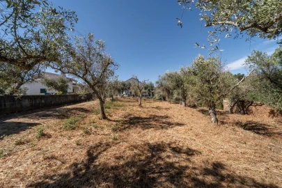 Terreno para Venda em Dominguizo