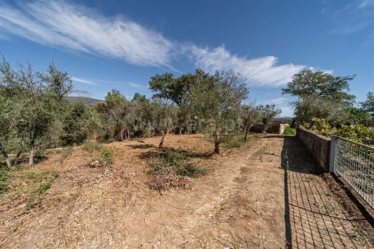 Terreno para Venda em Dominguizo Foto 2