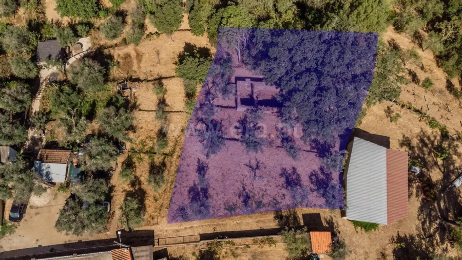 Terreno para Venda em Dominguizo Foto 9