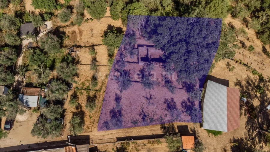 Terreno para Venda em Dominguizo