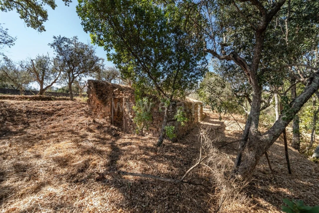 Terreno para Venda em Dominguizo Foto 6