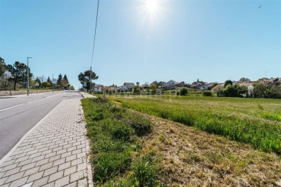 Terreno para Venda em Sabugal e Aldeia de Santo António
