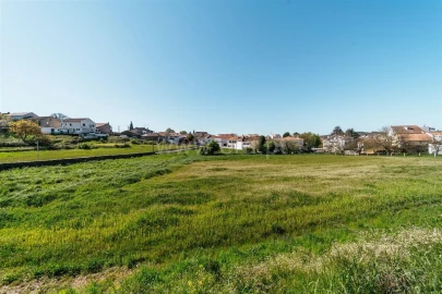 Terreno para Venda em Sabugal e Aldeia de Santo António