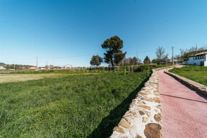 Terreno para Venda em Sabugal e Aldeia de Santo António