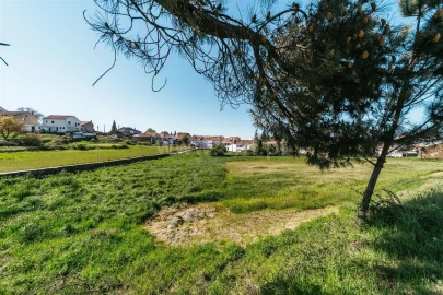Terreno para Venda em Sabugal e Aldeia de Santo António