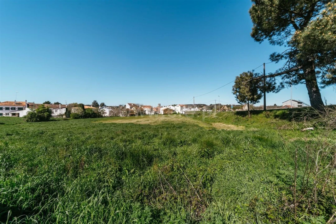 Terreno para Venda em Sabugal e Aldeia de Santo António Foto 15