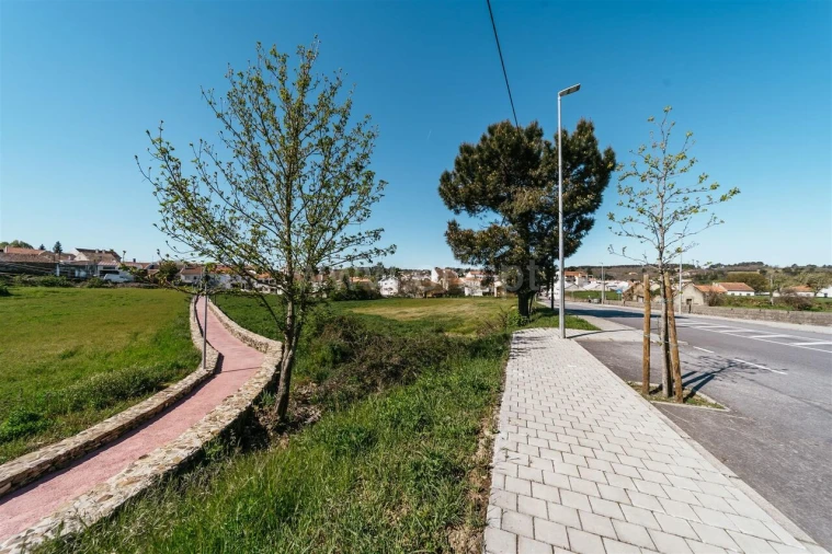 Terreno para Venda em Sabugal e Aldeia de Santo António Foto 6