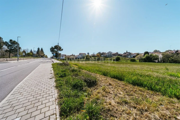 Terreno para Venda em Sabugal e Aldeia de Santo António Foto 12