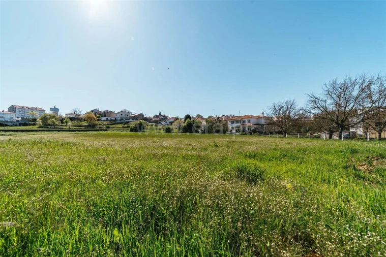 Terreno para Venda em Sabugal e Aldeia de Santo António Foto 13