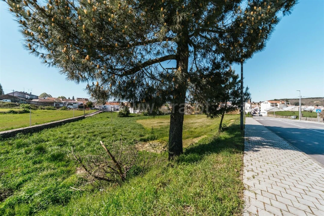 Terreno para Venda em Sabugal e Aldeia de Santo António Foto 8