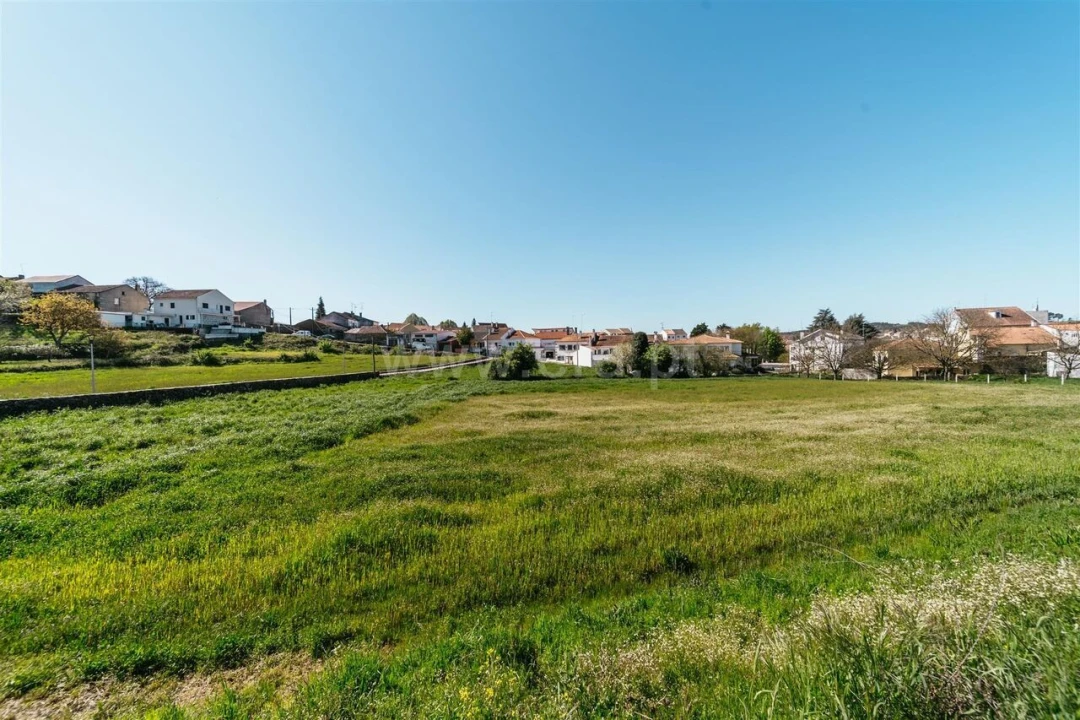 Terreno para Venda em Sabugal e Aldeia de Santo António Foto 10