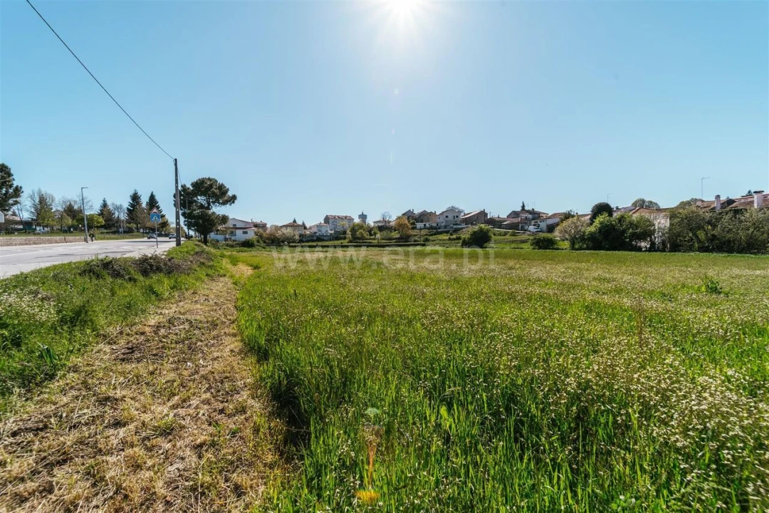 Terreno para Venda em Sabugal e Aldeia de Santo António Foto 14
