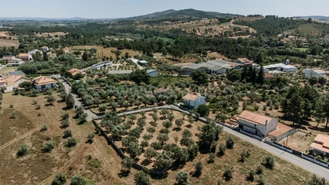 Terreno para Venda em Dominguizo