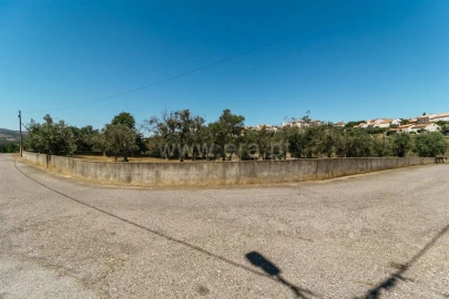 Terreno para Venda em Dominguizo