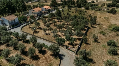 Terreno para Venda em Dominguizo