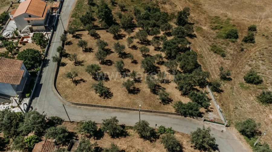 Terreno para Venda em Dominguizo Foto 10