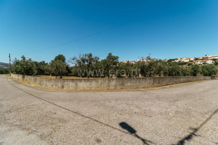 Terreno para Venda em Dominguizo Foto 7