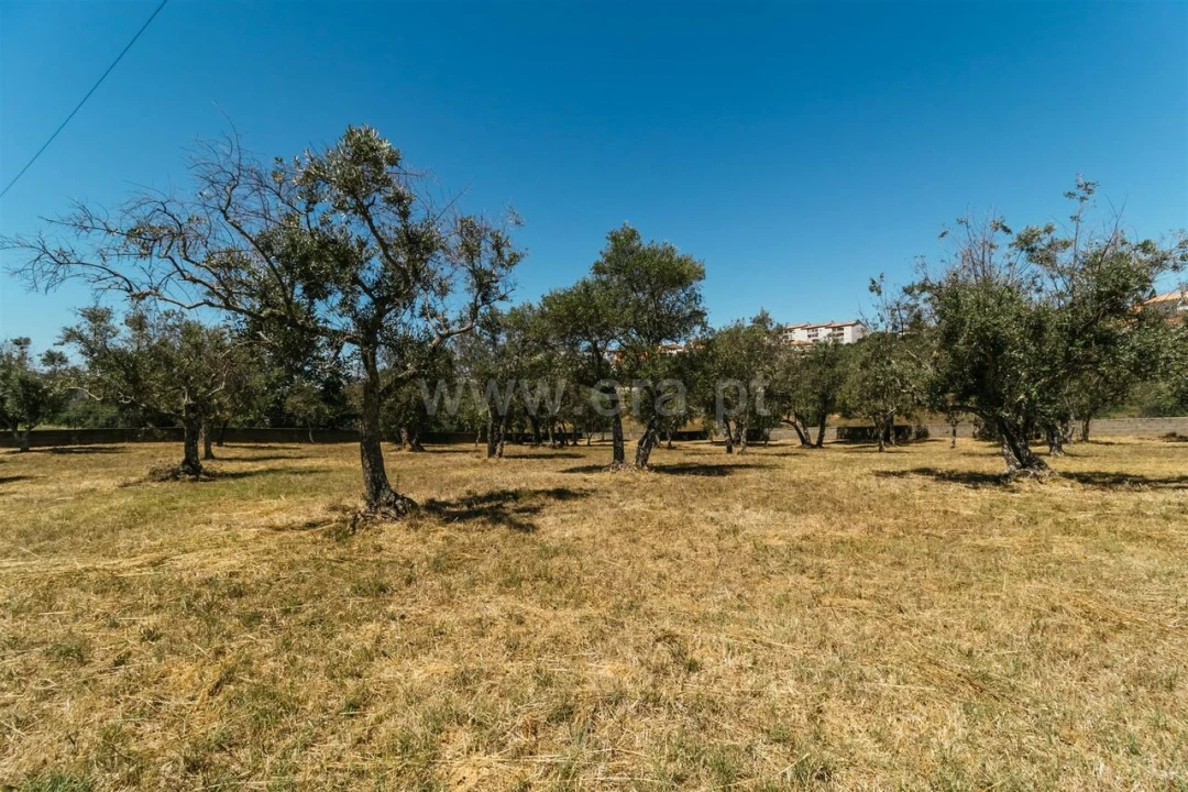 Terreno para Venda em Dominguizo Foto 6