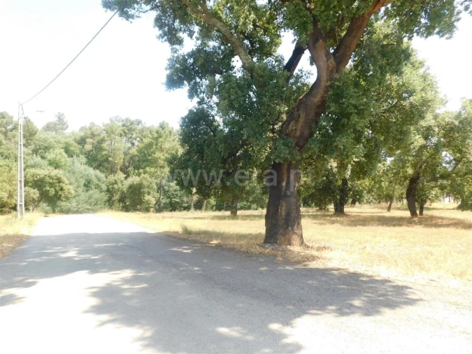 Terreno para Venda em Peso e Vales do Rio Foto 10