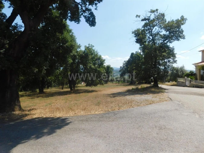 Terreno para Venda em Peso e Vales do Rio Foto 9