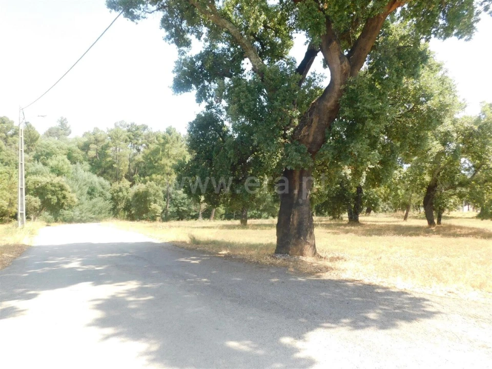 Terreno para Venda em Peso e Vales do Rio Foto 10