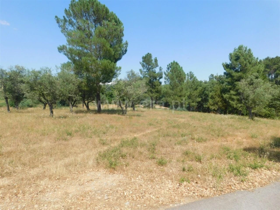 Terreno para Venda em Peso e Vales do Rio Foto 8