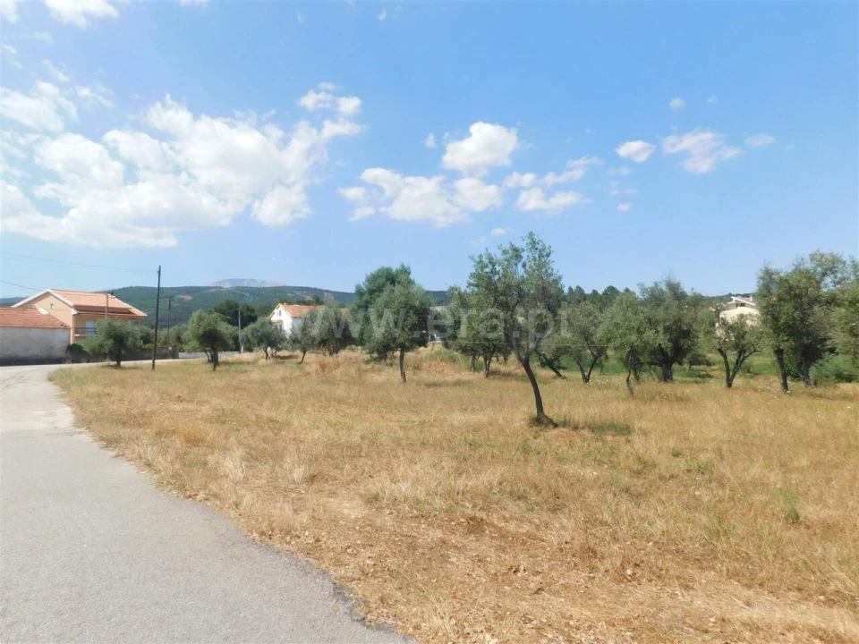 Terreno para Venda em Peso e Vales do Rio Foto 7