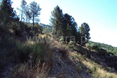 Terreno para Venda em Vale da Amoreira