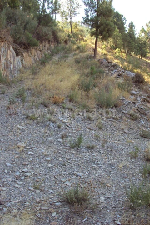 Terreno para Venda em Vale da Amoreira