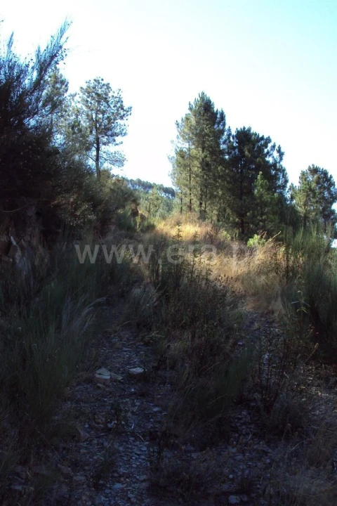 Terreno para Venda em Vale da Amoreira
