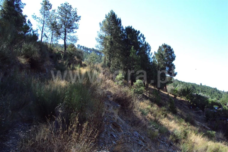 Terreno para Venda em Vale da Amoreira Foto 2