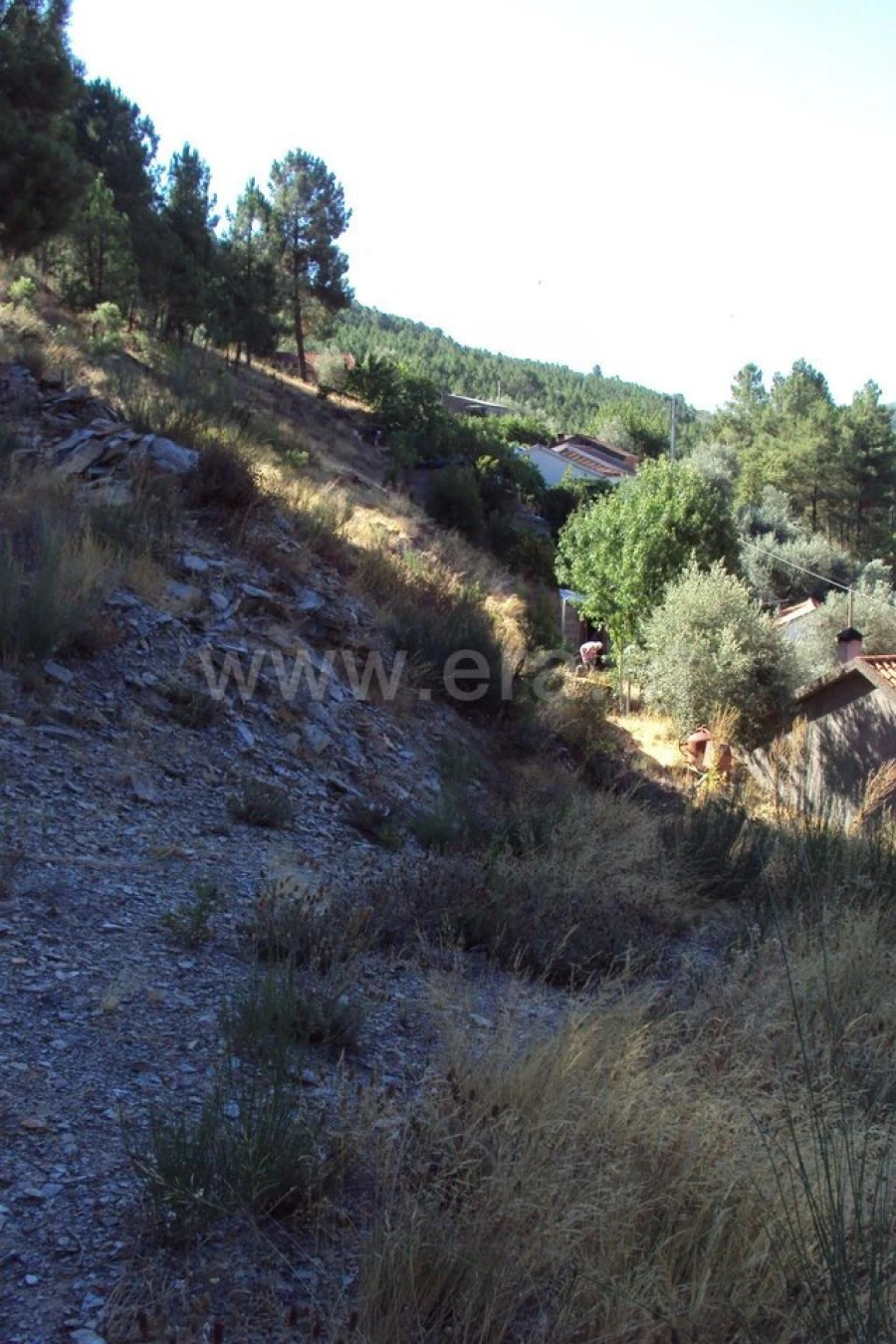 Terreno para Venda em Vale da Amoreira Foto 4