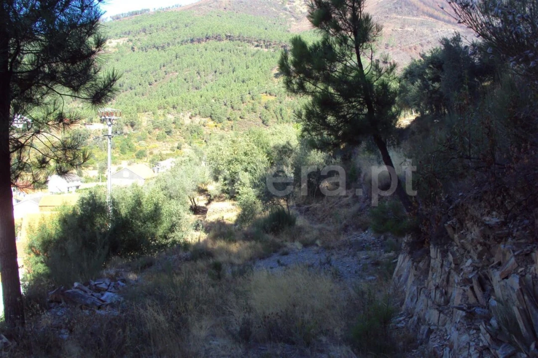 Terreno para Venda em Vale da Amoreira Foto 9