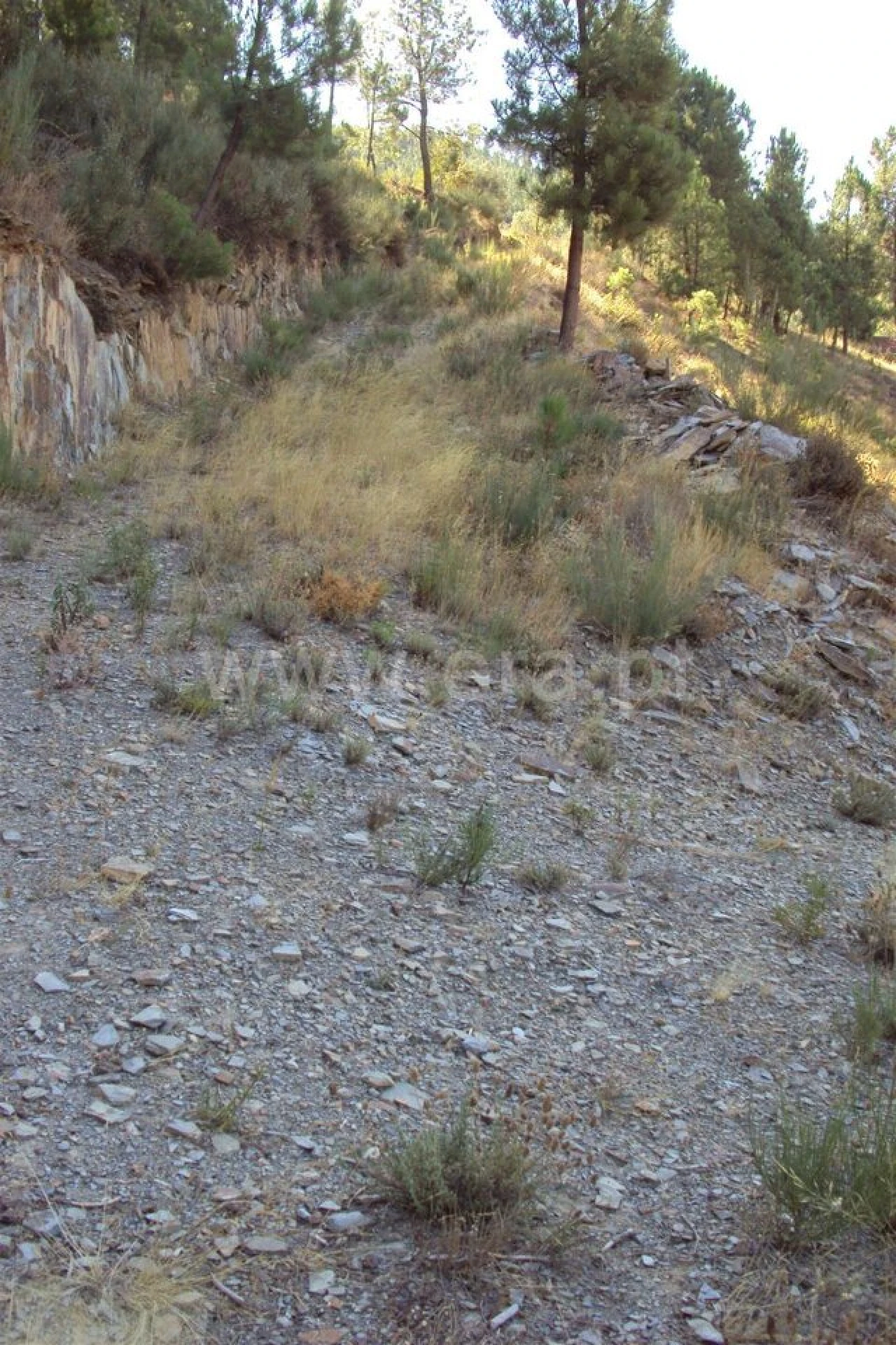 Terreno para Venda em Vale da Amoreira Foto 3
