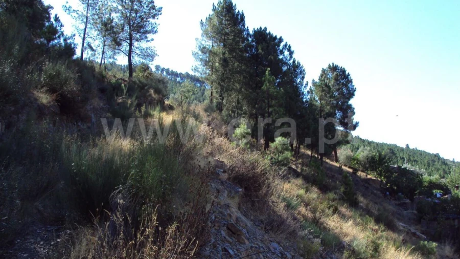 Terreno para Venda em Vale da Amoreira
