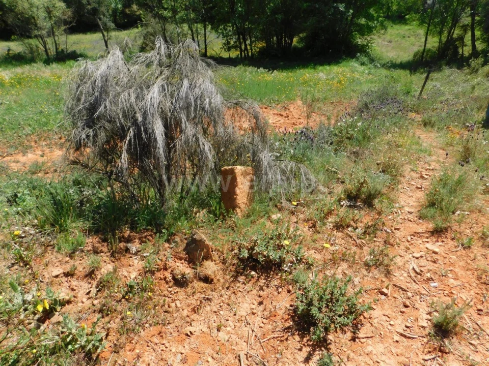 Terreno para Venda em Fatela Foto 16