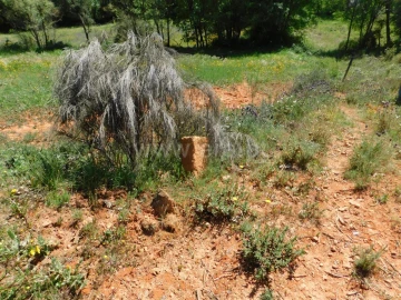 Terreno para Venda em Fatela